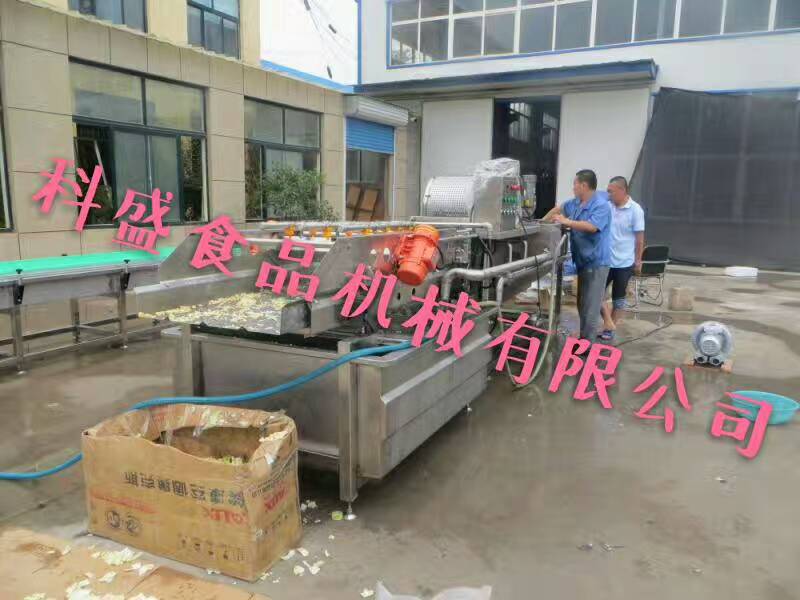諸城科盛 大米渦流震動清洗機生產(chǎn)廠家 青菜漂燙機價格