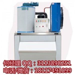 上海1000公斤片冰機