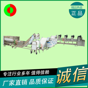 廠家直銷氣泡式臭氧殺菌生產(chǎn)線 中央廚房專用設備 洗菜機 商用