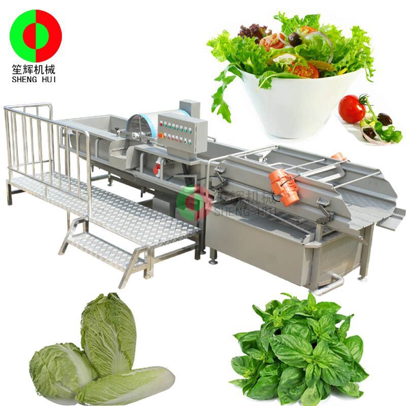 廠家直銷氣泡式臭氧殺菌生產(chǎn)線 中央廚房專用設備 洗菜機 商用