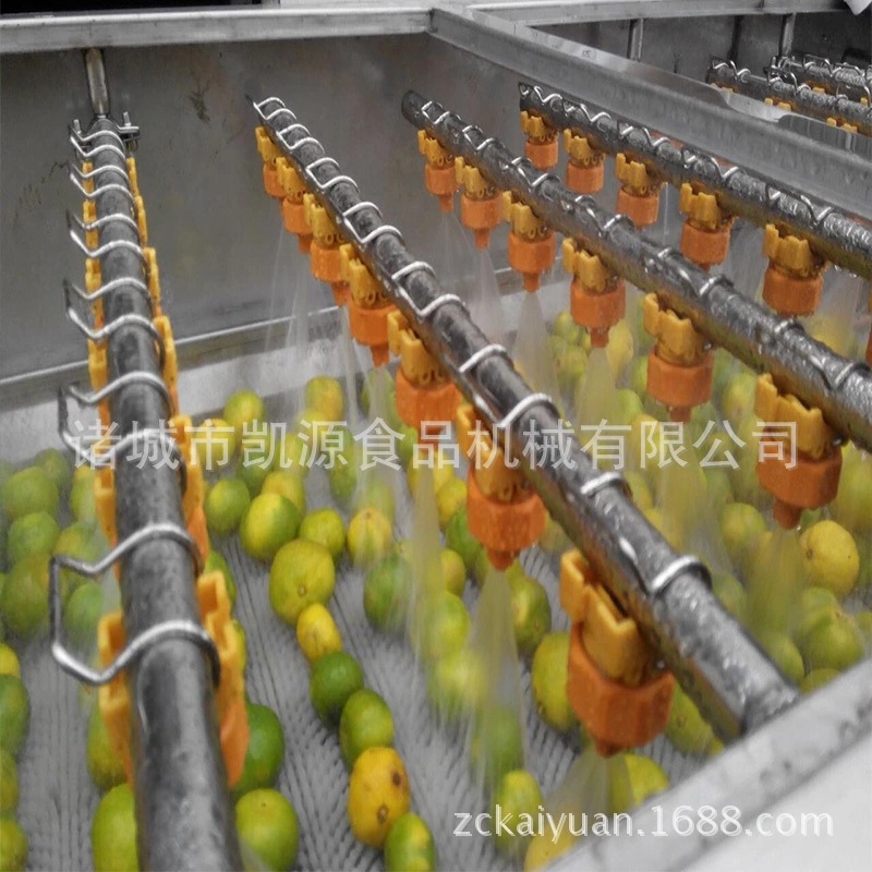 新鮮蔬菜清洗機(jī)/全自動氣泡清洗機(jī)/高效果蔬清洗/大型商用洗菜機(jī)
