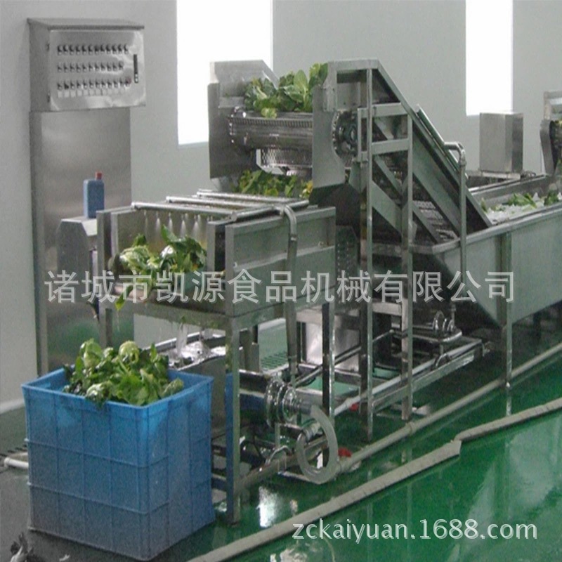 新鮮蔬菜清洗機(jī)/全自動氣泡清洗機(jī)/高效果蔬清洗/大型商用洗菜機(jī)