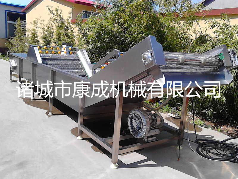 商用小型氣泡洗菜機專業仿手工全自動果蔬蔬菜清洗機廠家直銷