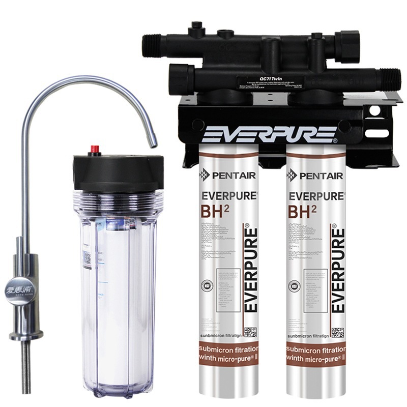 美國進口愛惠浦（Everpure）BH2 雙聯(lián)凈水器 過濾系統(tǒng) 商用