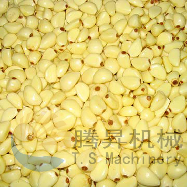 大蒜去皮機(jī)2.jpg