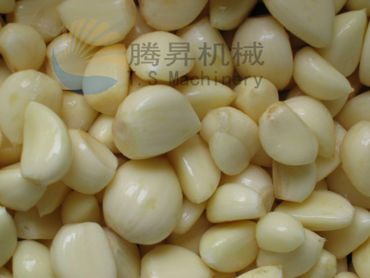 商用電動(dòng)大蒜脫皮機(jī) 剝蒜機(jī)剝皮