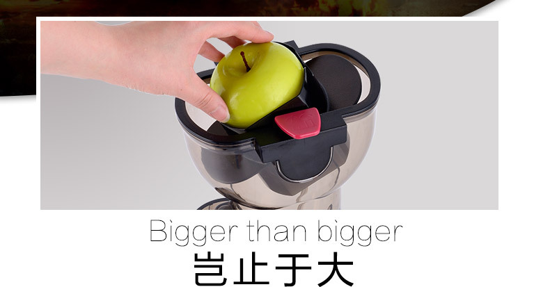 SAVTM/獅威特商用大口徑多功能榨汁機(jī) 攪拌果汁機(jī)低速原汁機(jī)批發(fā)