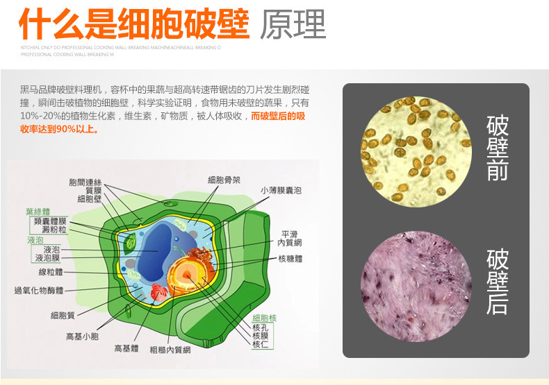 自動加熱 多功能家用破壁料理機(jī) 果汁豆?jié){榨汁機(jī) 商用絞肉攪拌機(jī)