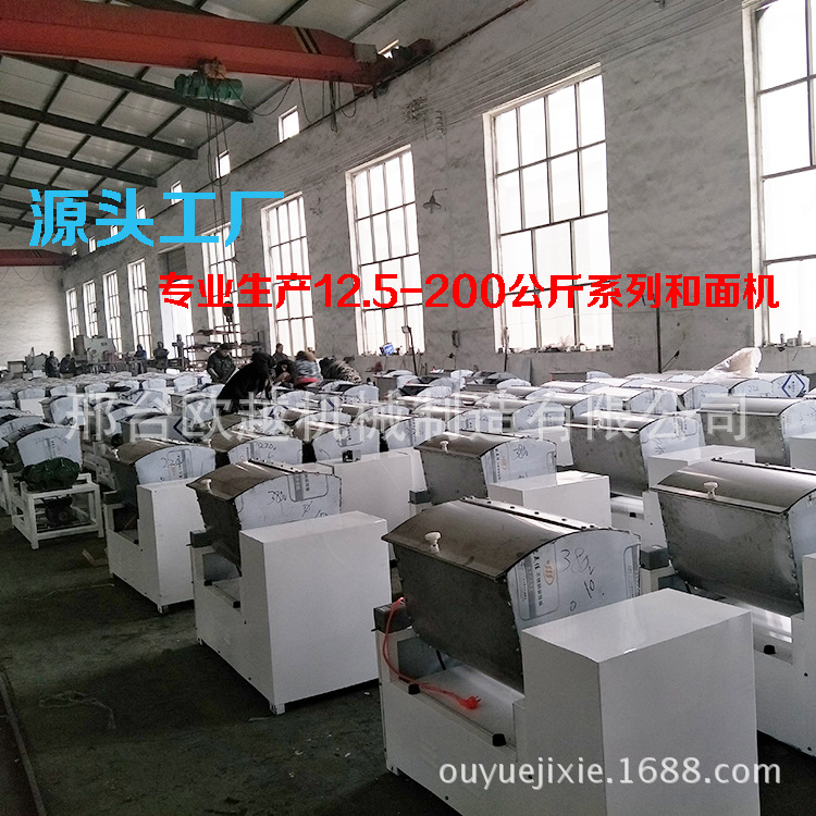 和面機(jī)全自動(dòng) 25-200公斤電動(dòng)和面機(jī) 加厚不銹鋼 大型商用和面機(jī)