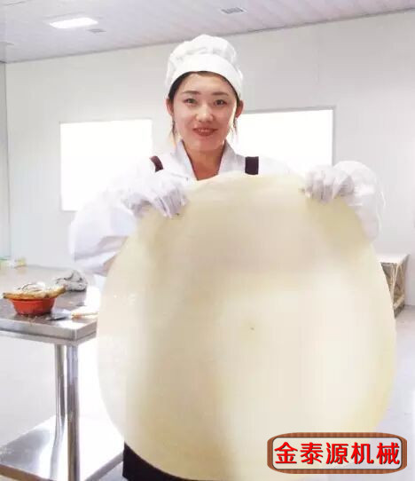 金泰源 節能蜂窩煤煤炭全自動煎餅機五谷雜糧煎餅機廠家直銷商用