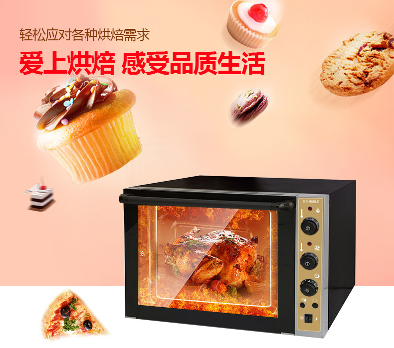 好樂熱風(fēng)循環(huán)烤箱商用熱風(fēng)循環(huán)爐烘蛋撻披薩烤箱 比薩電烤箱HL01C