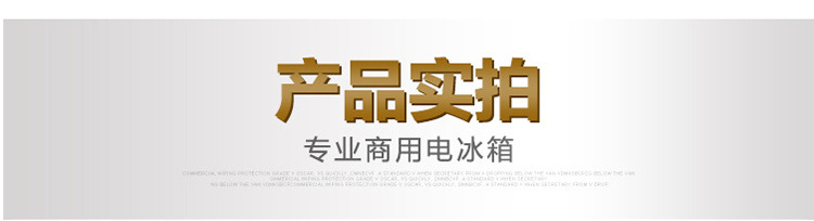 金松四門六門雙溫冰箱節(jié)能廚房家用電器商用電冰箱冷凍保鮮冰柜