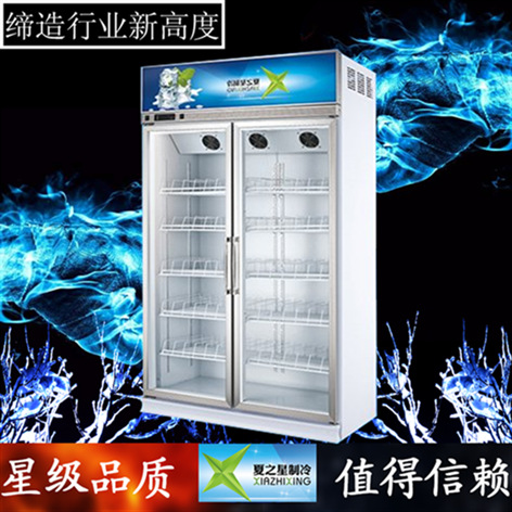 夏之星雙開(kāi)門(mén)立式展示冷柜保鮮柜冰柜商用便利店冷柜飲料柜