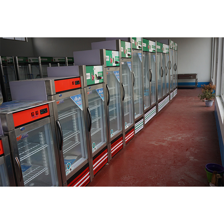 飲料柜 雙門展示柜商用立式冷藏保鮮展示柜制冷強(qiáng)勁噪音小可定制