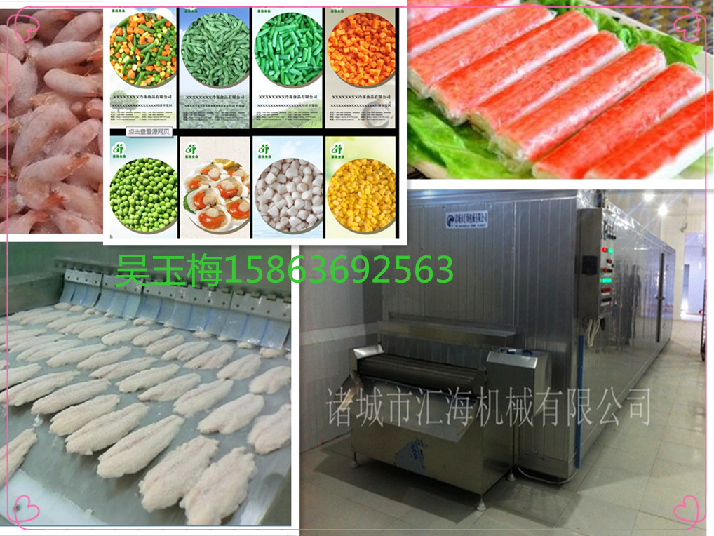 廠家供應(yīng)水餃速凍機(jī) 速凍機(jī)小型隧道式 速凍機(jī)供應(yīng)商 質(zhì)優(yōu)價(jià)廉