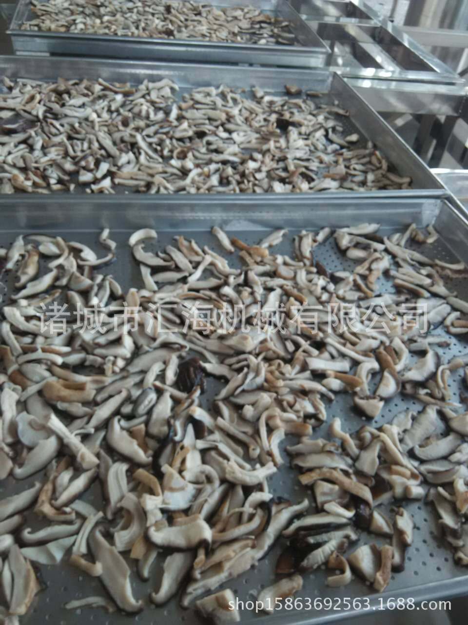 廠家供應(yīng)水餃速凍機(jī) 速凍機(jī)小型隧道式 速凍機(jī)供應(yīng)商 質(zhì)優(yōu)價(jià)廉