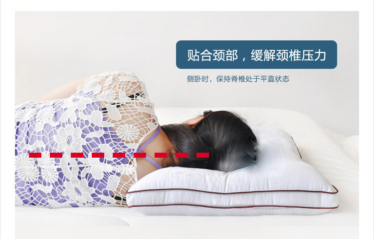 決明子枕芯 單人兩用全棉枕頭芯 立體蕎麥酒店枕芯 床上用品批發(fā)
