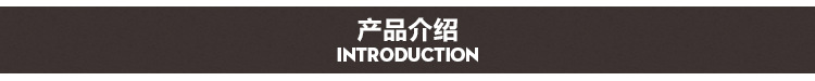 物品保管箱 供應(yīng)投幣防盜物品保管箱 酒店客房保管箱 車載保險箱