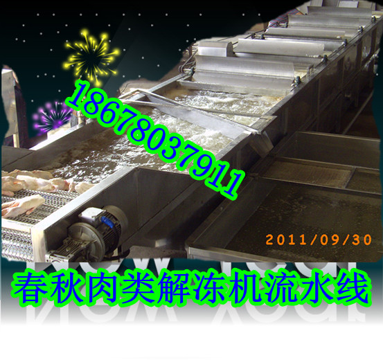 雞鴨魚(yú)肉解凍機(jī)|全自動(dòng)恒溫變頻解凍機(jī)|凍品解凍池|快速環(huán)保解凍