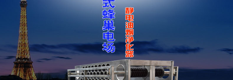 1123大促　148孔蜂窩電場(chǎng) 148針蜂窩電場(chǎng) 工業(yè)油煙凈化器蜂巢電場(chǎng)