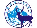 晶城品牌故事——“晶城”守護(hù)甜蜜